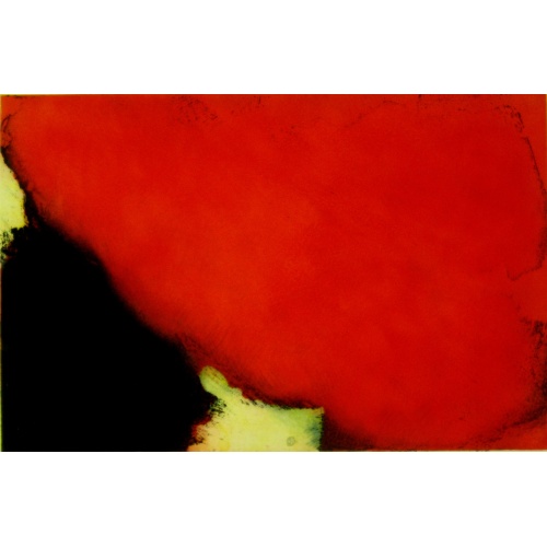 douce_confinence_286_x_440_mm