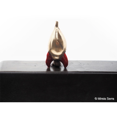 rocket_man_139860145